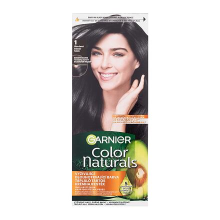 Garnier Color Naturals dámská permanentní barva na vlasy s vyživujícími oleji 40 ml odstín černá pro ženy