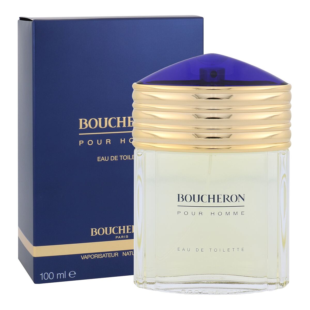 Boucheron Boucheron Pour Homme pánská toaletní voda 100 ml pro muže