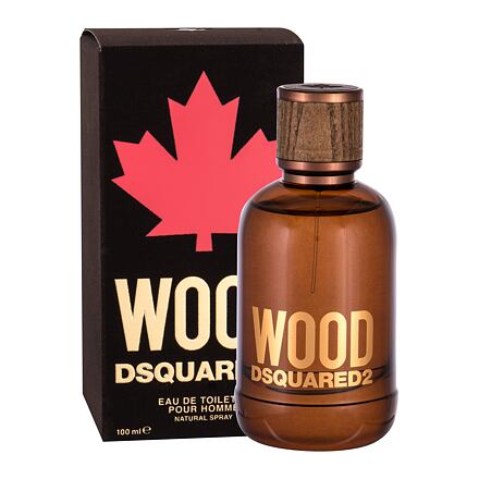 Dsquared2 Wood pánská toaletní voda 100 ml pro muže