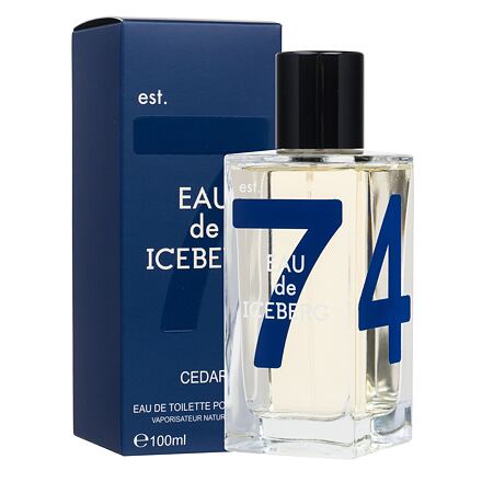 Iceberg Eau de Iceberg Cedar pánská toaletní voda 100 ml pro muže