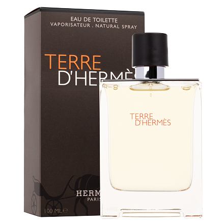 Hermes Terre d´Hermès pánská toaletní voda 100 ml pro muže