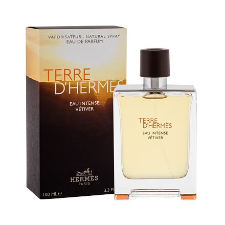 Hermes Terre d´Hermès Eau Intense Vétiver pánská parfémovaná voda 100 ml pro muže
