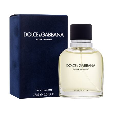 Dolce&Gabbana Pour Homme 75 ml toaletní voda pro muže