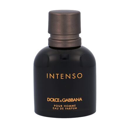 Dolce&Gabbana Pour Homme Intenso pánská parfémovaná voda 40 ml pro muže