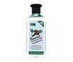 Šampon Xpel Coconut Hydrating Shampoo 400 ml