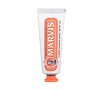 Zubní pasta Marvis Ginger Mint 25 ml