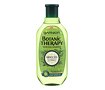 Šampon Garnier Botanic Therapy Green Tea Eucalyptus & Citrus 400 ml