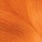 Barva na vlasy Garnier Olia 60 g 7,40 Intense Copper poškozená krabička