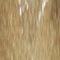Lak na nehty Gabriella Salvete Longlasting Enamel 11 ml 48 Gold Glow