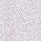 Oční stín Gabriella Salvete Mono Eyeshadow 2 g 05