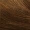 Barva na vlasy Garnier Olia 60 g 6,3 Golden Light Brown