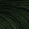 Barva na vlasy Revolution Haircare London Tones For Brunettes 150 ml Green Envy