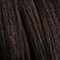 Barva na vlasy Syoss Permanent Coloration 50 ml 2-1 Black-Brown