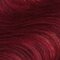 Barva na vlasy Revolution Haircare London Tones For Brunettes 150 ml Merlot