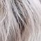 Barva na vlasy Maria Nila Colour Refresh 100 ml 0.20 Pearl Silver