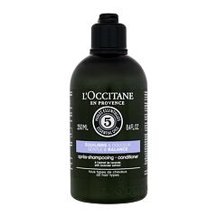 Kondicionér L'Occitane Aromachology Gentle & Balance Conditioner 250 ml