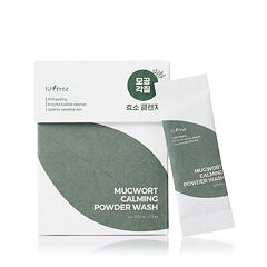 Čisticí pěna Isntree Mugwort 25x1 g