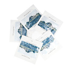 Pleťová maska Dr. Althea Marine Anti-Blemish Mask 60 ks