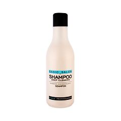 Šampon Stapiz Basic Salon Deep Cleaning 1000 ml