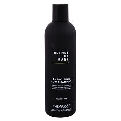 Šampon ALFAPARF MILANO Blends Of Many Energizing 250 ml