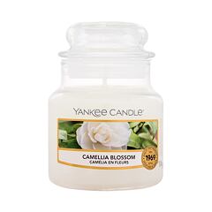 Vonná svíčka Yankee Candle Camellia Blossom 104 g