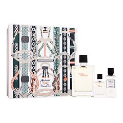 Toaletní voda Hermes Terre d´Hermès 100 ml Kazeta