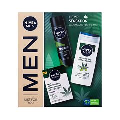 Balzám po holení Nivea Men Hemp Sensation 100 ml Kazeta