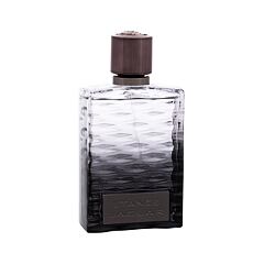 Toaletní voda Jaguar Stance 100 ml