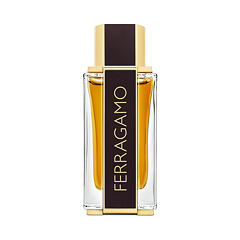 Parfém Salvatore Ferragamo Ferragamo Spicy Leather 100 ml