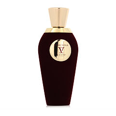 Parfémový extrakt V Canto Stricnina 100 ml