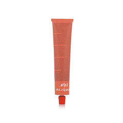 Barva na vlasy Inebrya Color 100 ml