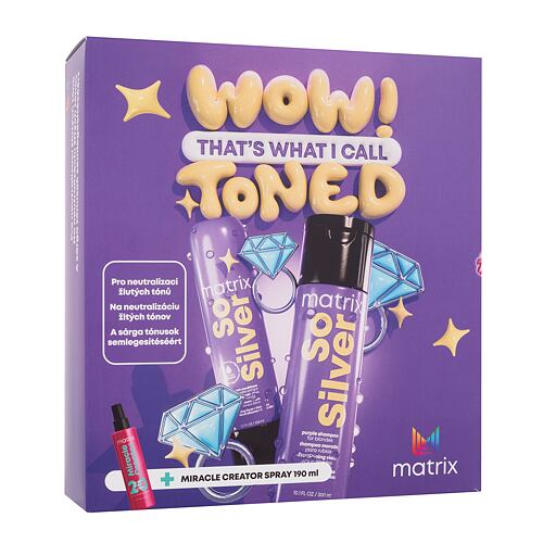 Šampon Matrix So Silver 300 ml poškozená krabička Kazeta