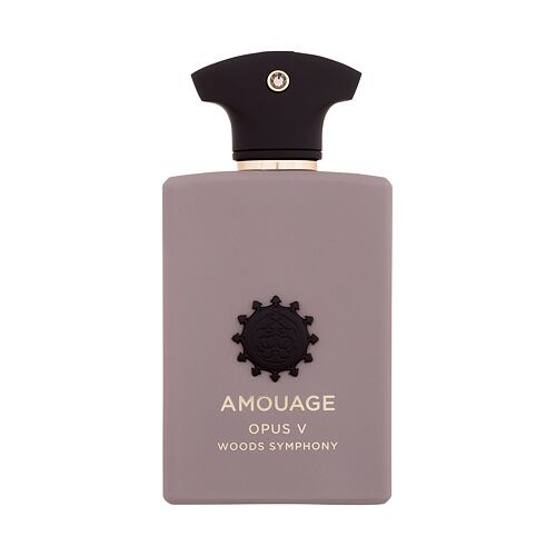 Parfémovaná voda Amouage Opus V - Woods Symphony 100 ml