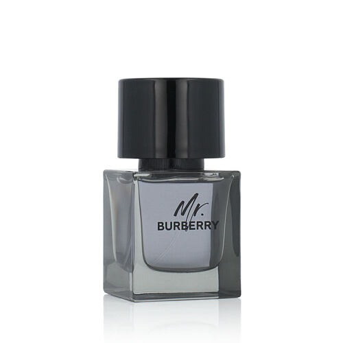 Toaletní voda Burberry Mr. Burberry 50 ml