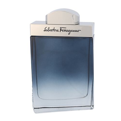 Toaletní voda Ferragamo Subtil Pour Homme 100 ml
