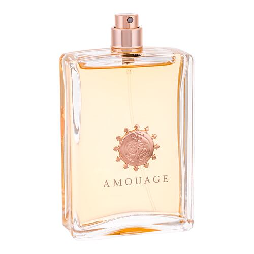 Parfémovaná voda Amouage Dia pour Homme 100 ml Tester
