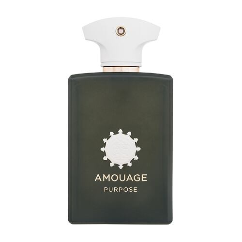 Parfémovaná voda Amouage Purpose 100 ml