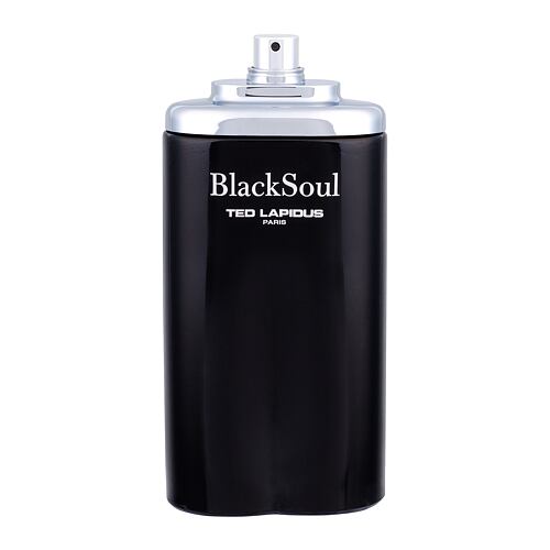 Toaletní voda Ted Lapidus Black Soul 100 ml Tester