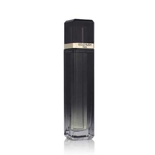Toaletní voda Paris Hilton Gold Rush Man 100 ml